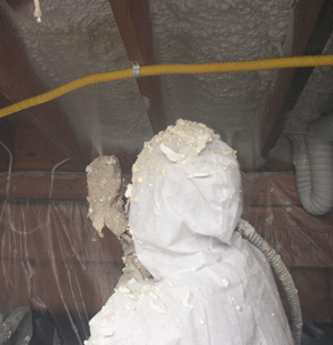 Hayward CA crawl space insulation